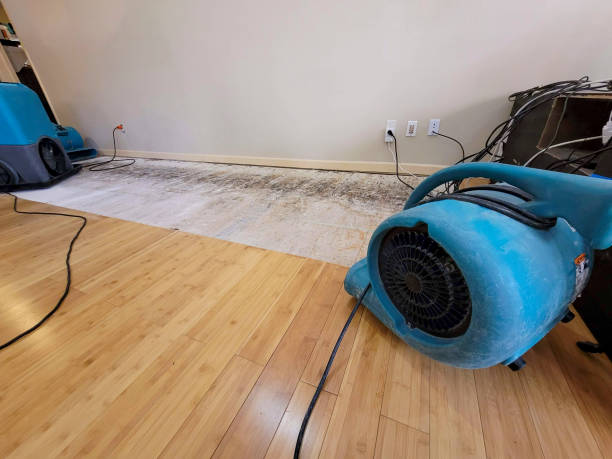 Professional Water Damage Repair technician working in Vance, AL